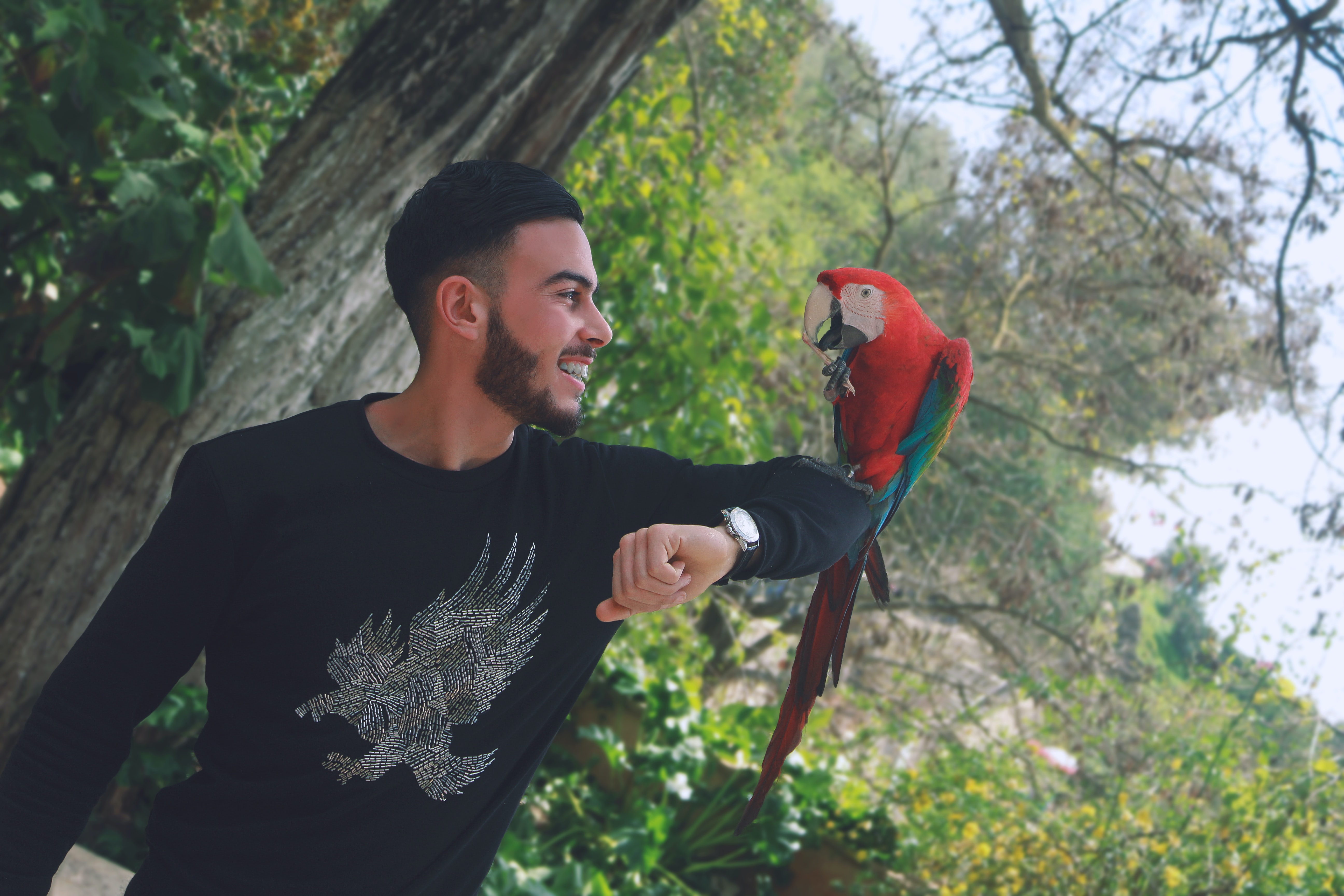 a man and a parrot